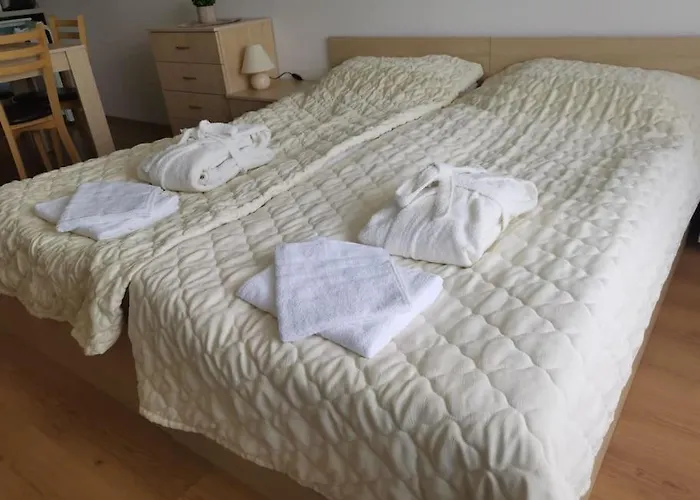 фамилно студио Alex&marry аспен アパート