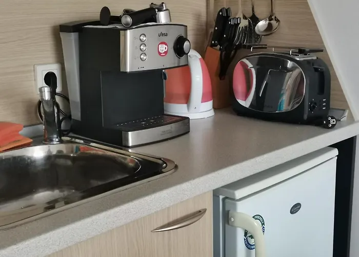 фамилно студио Alex&marry аспен アパート