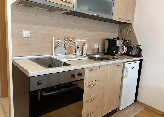 фамилно студио Alex&marry аспен アパート *