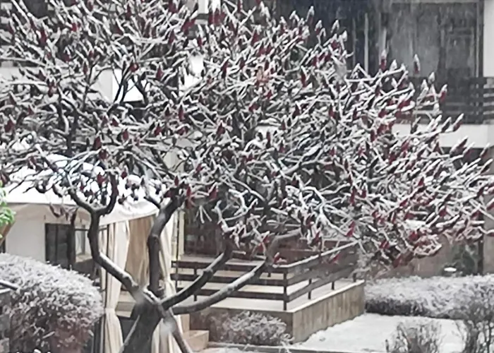 фамилно студио Alex&marry аспен