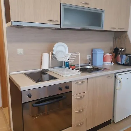 фамилно студио Alex&marry аспен Διαμέρισμα