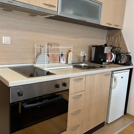 фамилно студио Alex&marry аспен Διαμέρισμα *