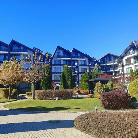 фамилно студио Alex&marry аспен *