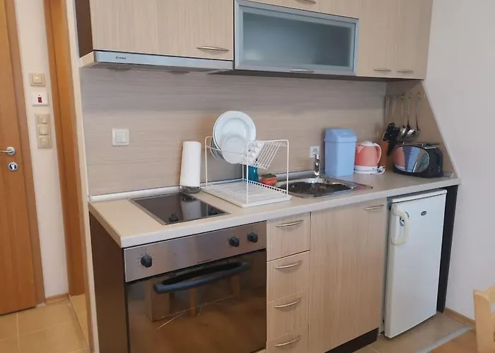 фамилно студио Alex&marry аспен 公寓