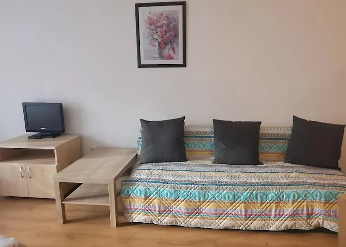 фамилно студио Alex&marry аспен 公寓