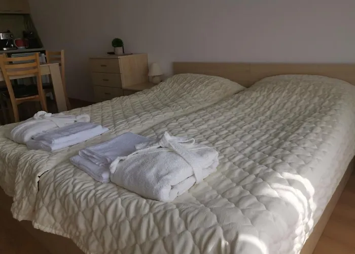 фамилно студио Alex&marry аспен * بانسكو