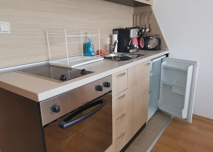 фамилно студио Alex&marry аспен 公寓 班斯科