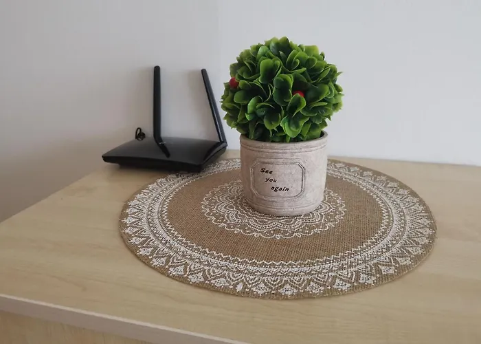 фамилно студио Alex&marry аспен 公寓 班斯科