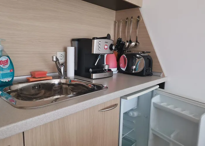 фамилно студио Alex&marry аспен * 班斯科