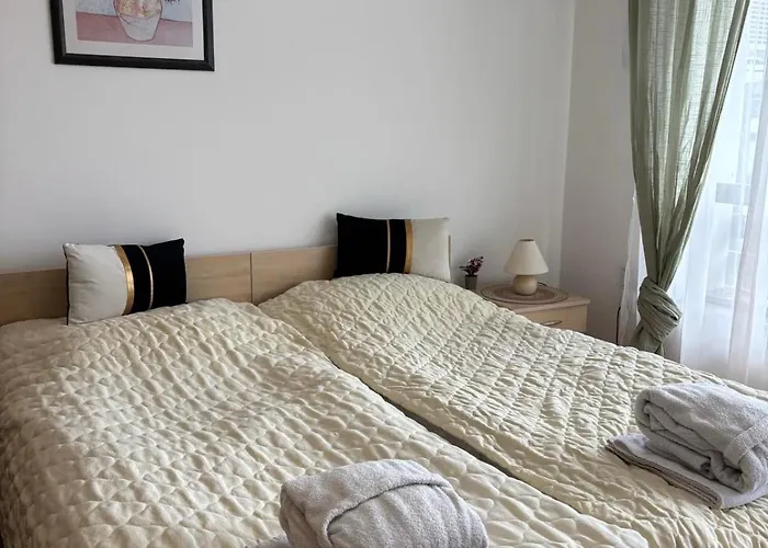 公寓 фамилно студио Alex&marry аспен 班斯科