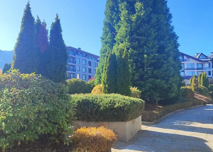 фамилно студио Alex&marry аспен *