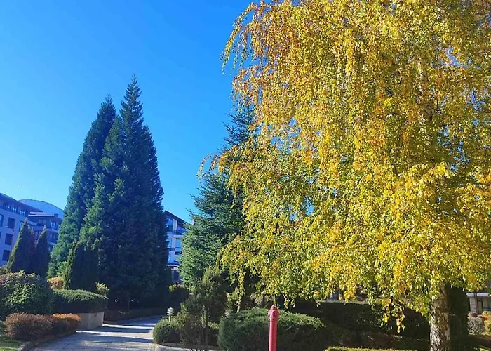 фамилно студио Alex&marry аспен